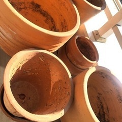 無料　テラコッタ植木鉢　大小各種サイズ
