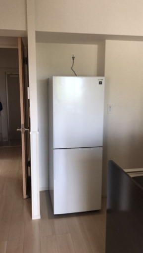 【予約済み】シャープ冷蔵庫 280L 2019年製 イオン除菌・消臭付 状態綺麗です