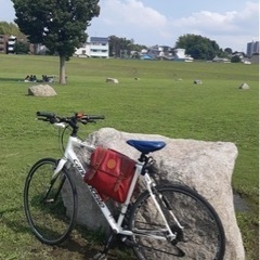 キャノンデール (CANNONDALE) 自転車