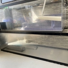 中古アクリル水槽が無料 格安で買える ジモティー