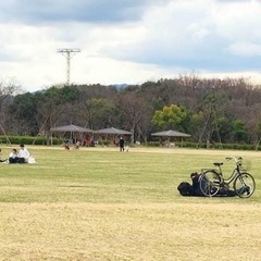 【急募！＆本日！】一緒に梅小路公園に行っておやつ食べませんか？