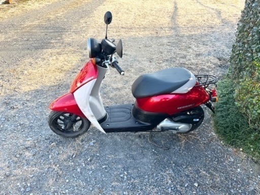 181. 動画あり ホンダ AF67トゥデイ 原付 バイク 50cc 車体 【公式通販】