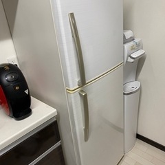 大容量冷蔵庫❗️沢山食材入ります❗️              ...