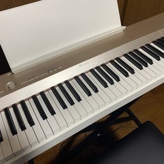 1月末まで値下げ】CASIO Privia PX-160GD