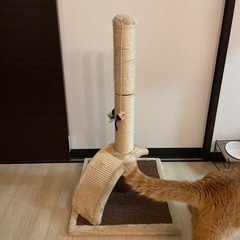 猫用　爪研ぎ