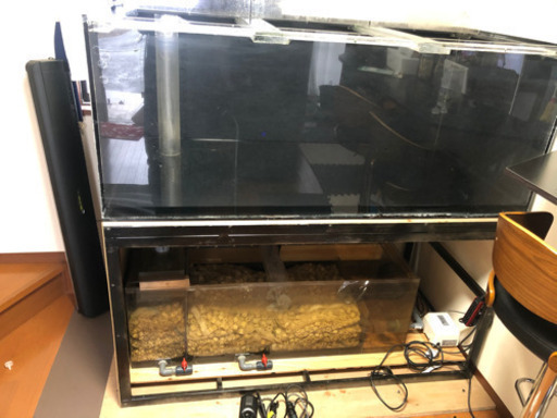 正規通販 大型水槽フルセット 魚用品 水草 Grupo3f Com Br