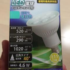 LED電球