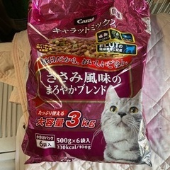 猫ちゃんのご飯