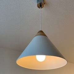 ニトリ　ペンダントライト&IKEA 電球