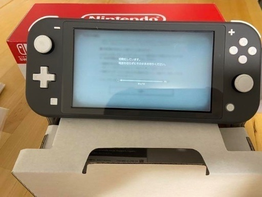 本日限定取引！Nintendo Switch NINTENDO SWITCH LITE グレー 美品