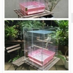 鳥　ケージ　(価額引き下げ: 40,000->35,000)