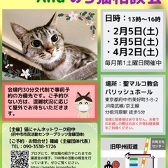 猫の譲渡会 and 野良猫相談会