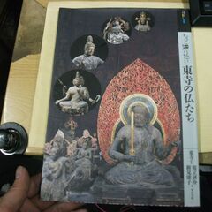 もっと知りたい東寺の仏たち (アート・ビギナーズ・コレクション)