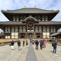 東大寺、五重塔、平城京　他　奈良にまつわる事を教えてください。