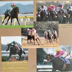 JRA50th 記念絵葉書５枚組