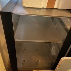 オーバーフロー水槽引き取り限定（値段交渉有）