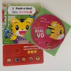 未使用品⭐︎子どもチャレンジ英語教育のトライアルDVD