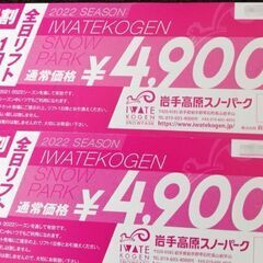 岩手高原スノーパーク　１日リフト券２枚