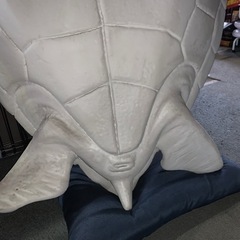 店のディスプレイに 亀のオブジェ 大型