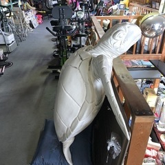 店のディスプレイに 亀のオブジェ 大型