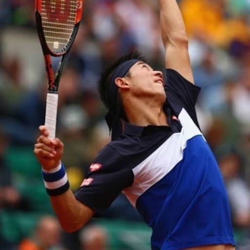 UNIQLO 錦織モデル ポロシャツ UNIQLO ユニクロ ドライEX ハーフジップ