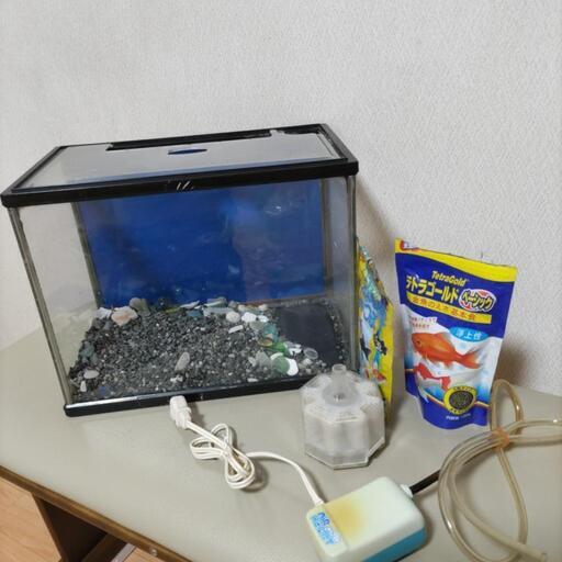 3 7予約あり 巾31 水槽一式 餌 ｴｱﾎﾟﾝﾌﾟ ﾌｨﾙﾀｰ ｽﾎﾟｲﾄ 金魚やﾒﾀﾞｶ等の飼育に ﾓｺまんま 百合が原のその他の中古あげます 譲ります ジモティーで不用品の処分