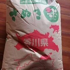 令和三年産　香川県産コシヒカリ　玄米30kg