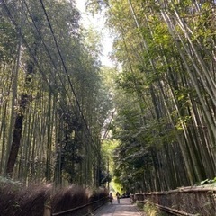 京都お散歩サークル(ゆる〜くお散歩するサークルです！) - 京都市