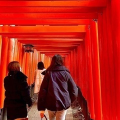 京都お散歩サークル(ゆる〜くお散歩するサークルです！)の画像