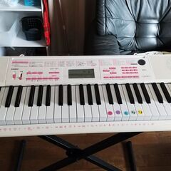 CASIO キーボード（電子ピアノ） LK-121 キーボードス...