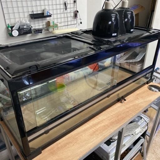 爬虫類ケージセット