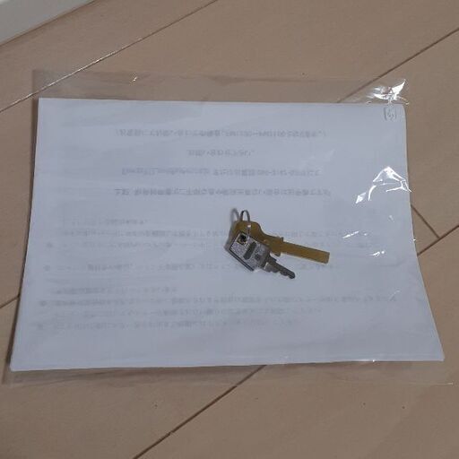 HANABI★電源 100v★コイン不要 済