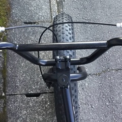 ✴︎TXED・ファットバイク・極太タイヤ・前後ディスクブレーキ・20インチ 色：ブラック