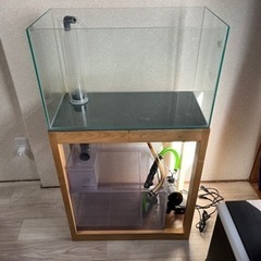 オーバーフロー水槽 60cm ワイド オーバーフロー水槽 60cm ワイド 60cmワイド オーバーフロー水槽