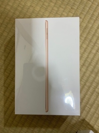 その他 iPad mini 5 2019 256GB