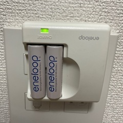 【電池付き】eneloop NC-TGR02 単3形・単4形兼用...
