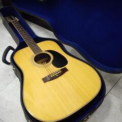 Ariaアリア アコースティックギター W-23C カスタム アコギ 