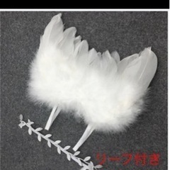天使の羽 ニューボーンフォト