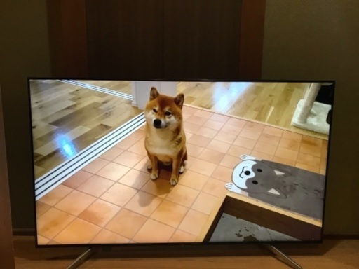 SONY BRAVIA KJ-65X8500F  65V型4K液晶テレビ