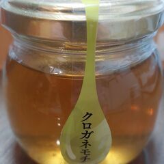 山口県産　クロガネモチ蜂蜜100ｇ