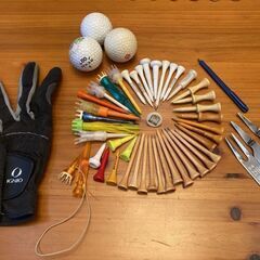 メンズ 男性用 ゴルフクラブ フルセット 一式 ドライバー アイアン パター 14本セット Titleistバック その他おまけ付き