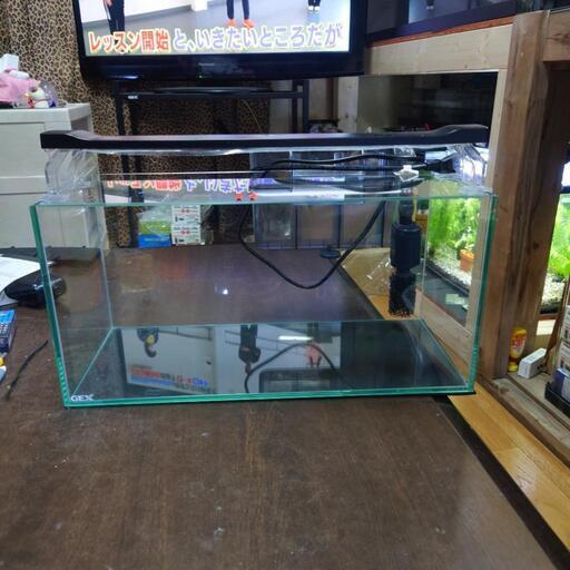 GEXグラステリア