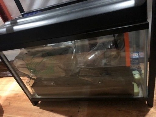 GEX水槽水槽台セット