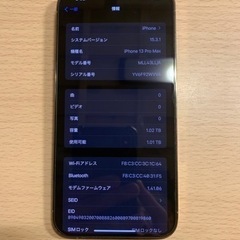 iPhone13promax 1TB アメリカ版
