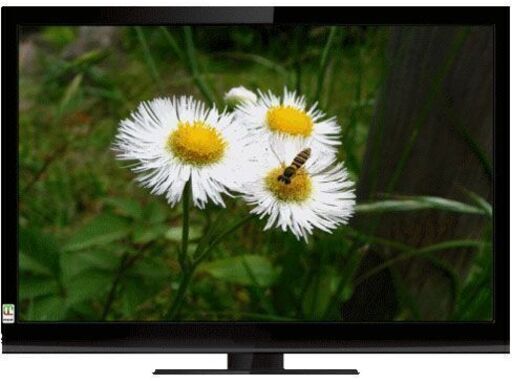 激安★購入後＝未使用★高性能テレビ 32型　LCT-3205W★TV(PCモニタ－等々)★3波TV★超軽量★液晶カラーテレビ★本体とリモコンのみ★軽自動車運搬OK★詳細は全部、説明文添付参照(アドレス)★重複質問＝NG★返品不可★当方はパソコン作成の為、スマホ、タブレット閲覧時の文字ズレ、ご了承ください。★お返事は可能な限り迅速にさせて頂きます。