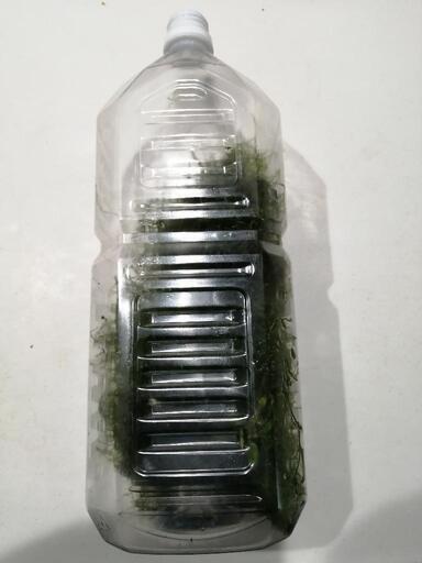 大量 ウィローモスアクアリウム にし 伊丹の家電の中古あげます 譲ります ジモティーで不用品の処分