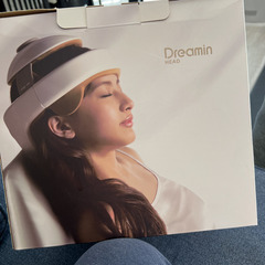 DreaminHead
