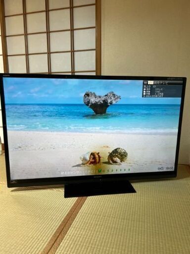 テレビ 60インチ シャープ 世界の亀山
