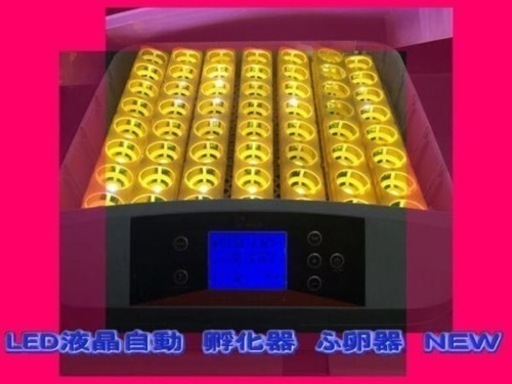 LED 鳥類専用孵卵器 孵卵機 ふ卵器 孵化器 ふ化器 インキュベーター 56