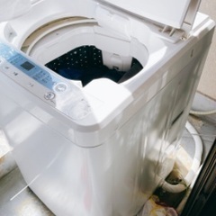 【ネット決済】縦型洗濯機 (HerbRelax　YWMT50A1...